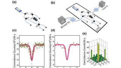 Polarization-Controlled Quantum Interference in a Metro-Scale Fiber Network featured image